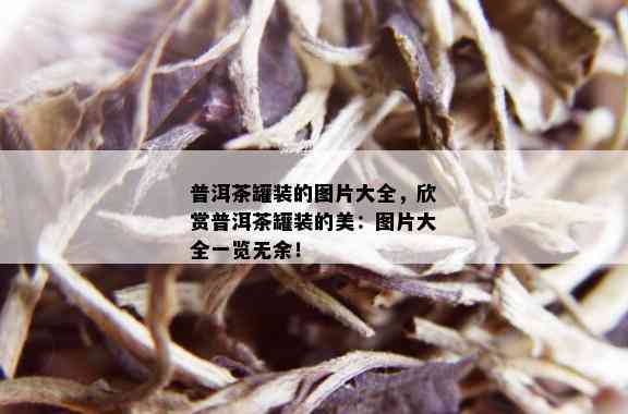 普洱茶罐装的图片大全，欣赏普洱茶罐装的美：图片大全一览无余！