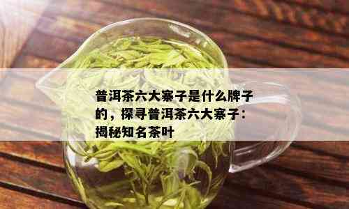 普洱茶六大寨子是什么牌子的，探寻普洱茶六大寨子：揭秘知名茶叶