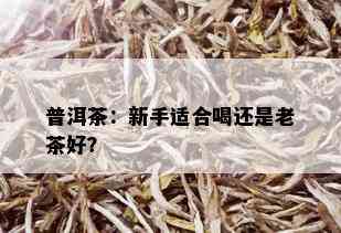 普洱茶：新手适合喝还是老茶好？