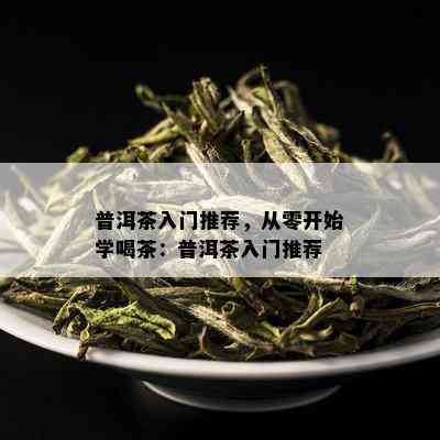 普洱茶入门推荐，从零开始学喝茶：普洱茶入门推荐