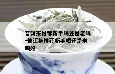 普洱茶推荐新手喝还是老喝-普洱茶推荐新手喝还是老喝好