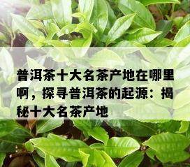 普洱茶十大名茶产地在哪里啊，探寻普洱茶的起源：揭秘十大名茶产地