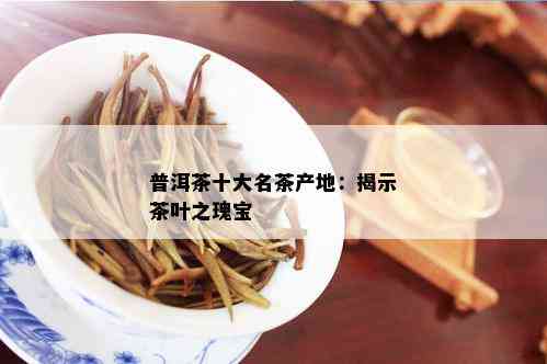 普洱茶十大名茶产地：揭示茶叶之瑰宝