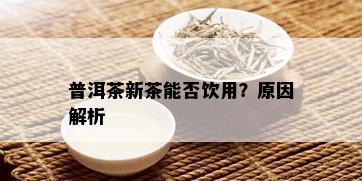 普洱茶新茶能否饮用？原因解析