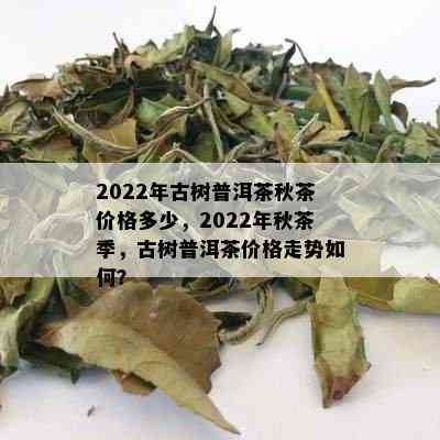 2022年古树普洱茶秋茶价格多少，2022年秋茶季，古树普洱茶价格走势如何？