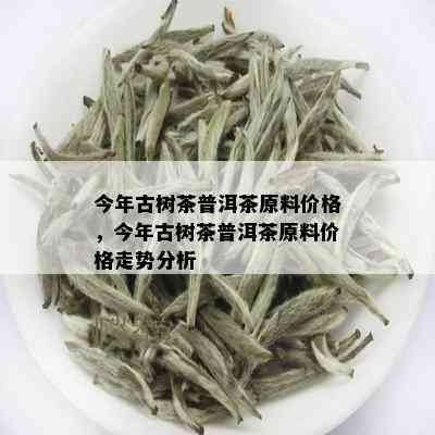 今年古树茶普洱茶原料价格，今年古树茶普洱茶原料价格走势分析