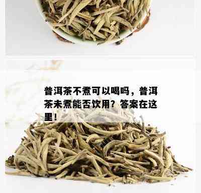 普洱茶不煮可以喝吗，普洱茶未煮能否饮用？答案在这里！