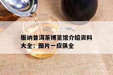 版纳普洱茶博览馆介绍资料大全：图片一应俱全