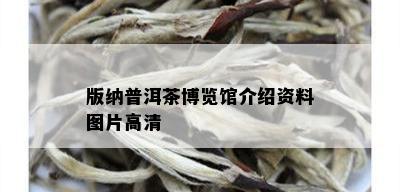 版纳普洱茶博览馆介绍资料图片高清