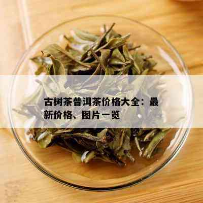 古树茶普洱茶价格大全：最新价格、图片一览