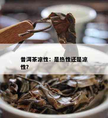 普洱茶凉性：是热性还是凉性？