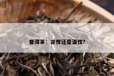 普洱茶：凉性还是温性？