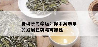 普洱茶的命运：探索其未来的发展趋势与可能性