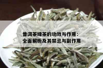 普洱茶绿茶的功效与作用：全面解析及其禁忌与副作用