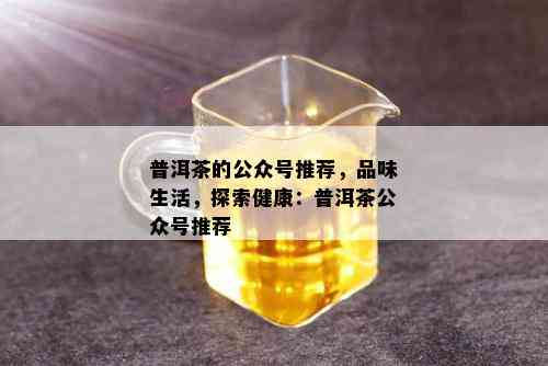 普洱茶的公众号推荐，品味生活，探索健康：普洱茶公众号推荐