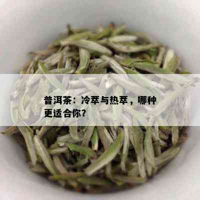 普洱茶：冷萃与热萃，哪种更适合你？