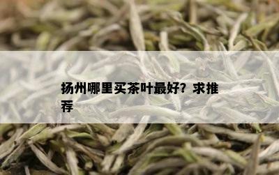 扬州哪里买茶叶更好？求推荐