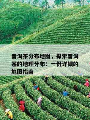 普洱茶分布地图，探索普洱茶的地理分布：一份详细的地图指南