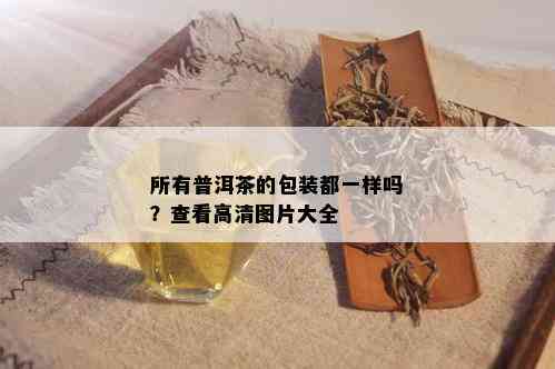 所有普洱茶的包装都一样吗？查看高清图片大全