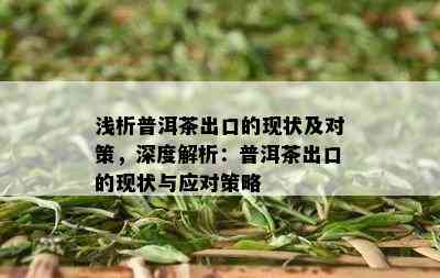 浅析普洱茶出口的现状及对策，深度解析：普洱茶出口的现状与应对策略