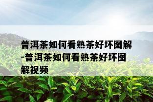 普洱茶如何看熟茶好坏图解-普洱茶如何看熟茶好坏图解视频