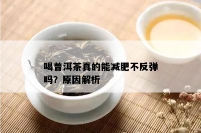 喝普洱茶真的能减肥不反弹吗？原因解析