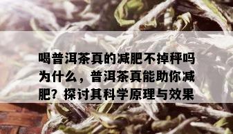 喝普洱茶真的减肥不掉秤吗为什么，普洱茶真能助你减肥？探讨其科学原理与效果