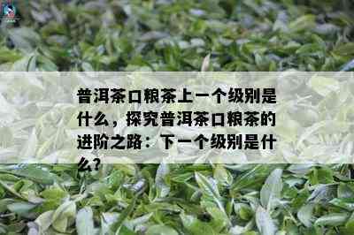 普洱茶口粮茶上一个级别是什么，探究普洱茶口粮茶的进阶之路：下一个级别是什么？