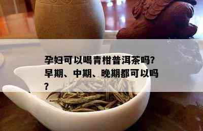 孕妇可以喝青柑普洱茶吗？早期、中期、晚期都可以吗？