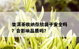 普洱茶收纳存放袋子安全吗？会影响品质吗？