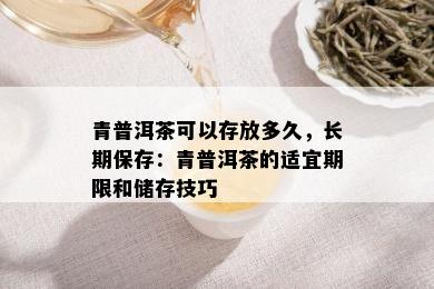 青普洱茶可以存放多久，长期保存：青普洱茶的适宜期限和储存技巧