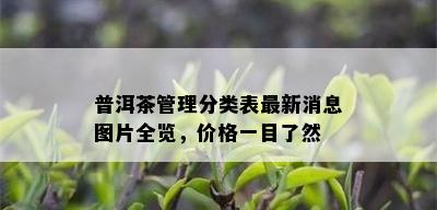 普洱茶管理分类表最新消息图片全览，价格一目了然