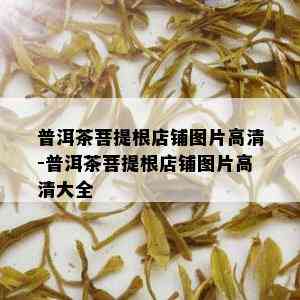 普洱茶菩提根店铺图片高清-普洱茶菩提根店铺图片高清大全