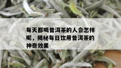 每天都喝普洱茶的人会怎样呢，揭秘每日饮用普洱茶的神奇效果