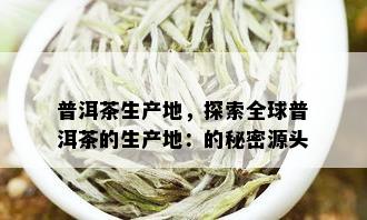 普洱茶生产地，探索全球普洱茶的生产地：的秘密源头