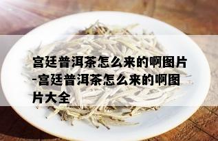 宫廷普洱茶怎么来的啊图片-宫廷普洱茶怎么来的啊图片大全