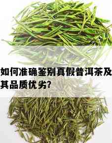 如何准确鉴别真假普洱茶及其品质优劣？