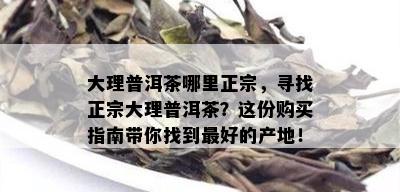 大理普洱茶哪里正宗，寻找正宗大理普洱茶？这份购买指南带你找到更好的产地！