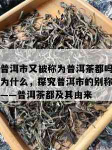 普洱市又被称为普洱茶都吗为什么，探究普洱市的别称——普洱茶都及其由来