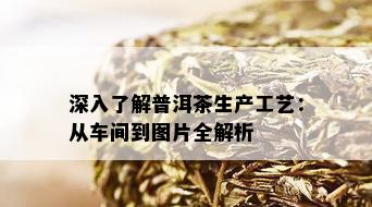 深入了解普洱茶生产工艺：从车间到图片全解析