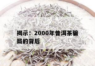 揭示：2000年普洱茶骗局的背后