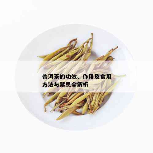 普洱茶的功效、作用及食用方法与禁忌全解析