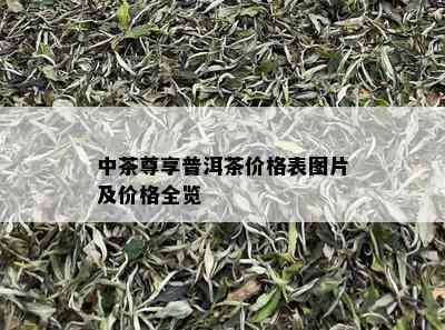 中茶尊享普洱茶价格表图片及价格全览