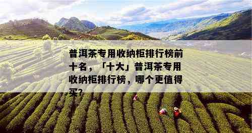 普洱茶专用收纳柜排行榜前十名，「十大」普洱茶专用收纳柜排行榜，哪个更值得买？