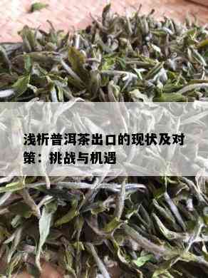 浅析普洱茶出口的现状及对策：挑战与机遇