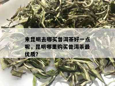 来昆明去哪买普洱茶好一点呢，昆明哪里购买普洱茶更优质？