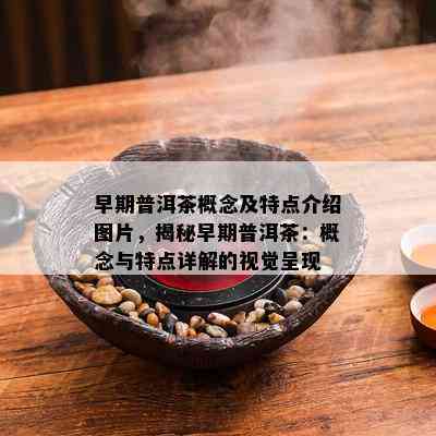 早期普洱茶概念及特点介绍图片，揭秘早期普洱茶：概念与特点详解的视觉呈现