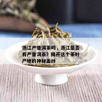 浙江产普洱茶吗，浙江是否有产普洱茶？揭开这个茶叶产地的神秘面纱