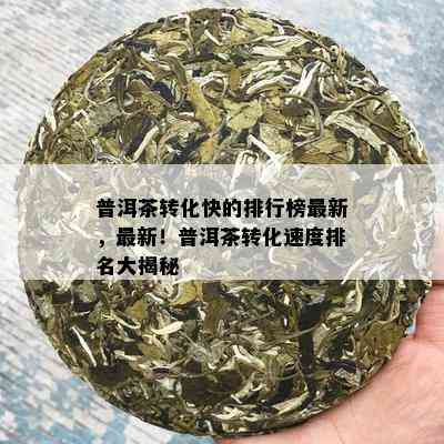 普洱茶转化快的排行榜最新，最新！普洱茶转化速度排名大揭秘