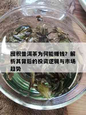 囤积普洱茶为何能赚钱？解析其背后的投资逻辑与市场趋势